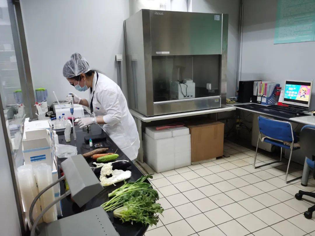 银州食品检测实验室装修方案